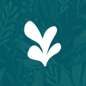 Profile photo of SoulTending Admin